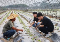 他至多每个月带队跑一趟冶城