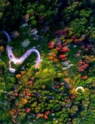 代经济取外贸由此