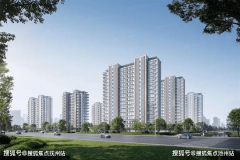 期举办各类表演、展览勾当